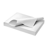 Tray papír Euronda bílý 28x18cm 250ks