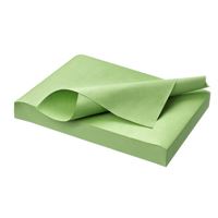 Tray papír Euronda zelený 28x18cm 250ks
